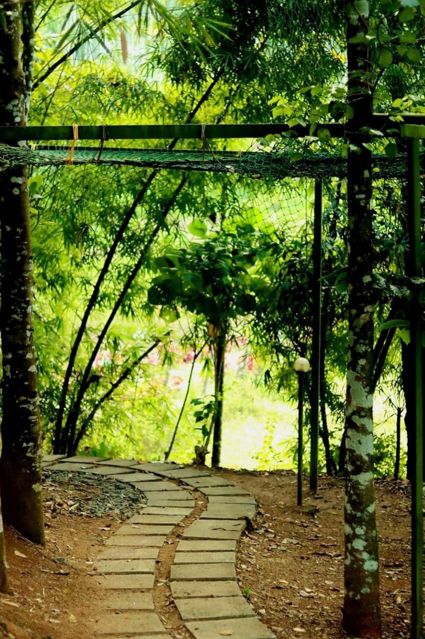 Ayurnest Pool Resort Wayanad Batheri Esterno foto