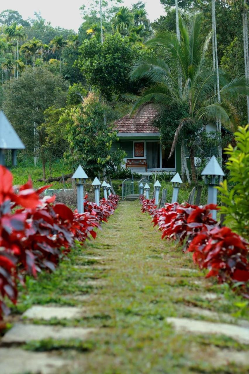 Ayurnest Pool Resort Wayanad Batheri Esterno foto